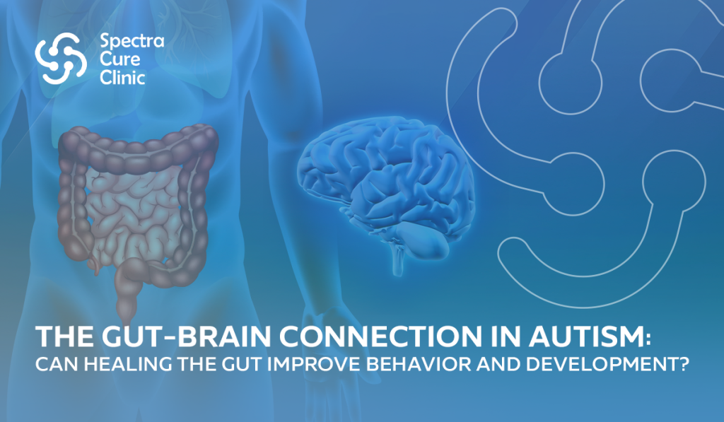 The Gut-Brain Connection in Autism: Can Healing the Gut Improve Behavior and Development?